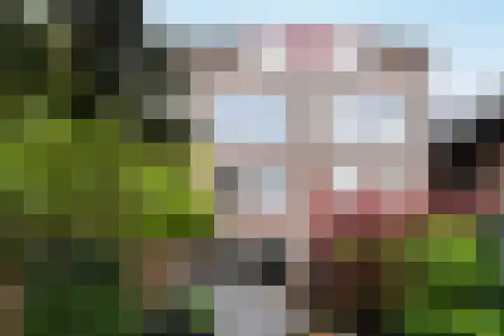 Weversweg 24 Hilversum thumbnail 18