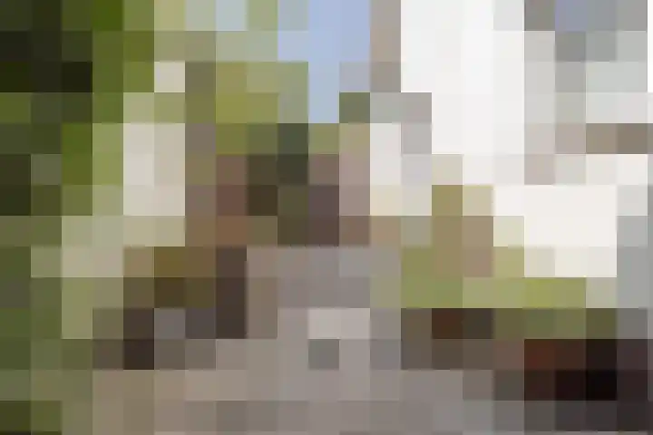 Wevestraat 17 Geleen thumbnail 21