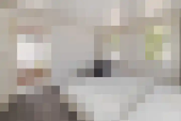 Wevestraat 17 Geleen thumbnail 31