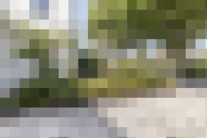 Wevestraat 17 Geleen thumbnail 42