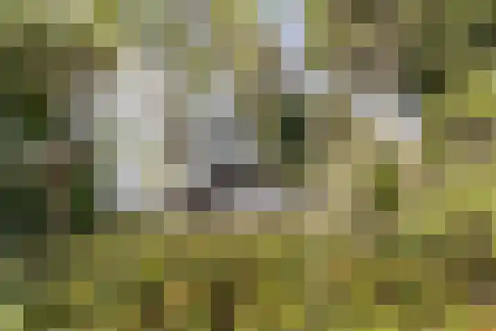 Wevestraat 17 Geleen thumbnail 43