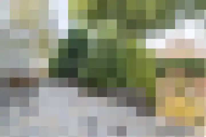 Wevestraat 17 Geleen thumbnail 44