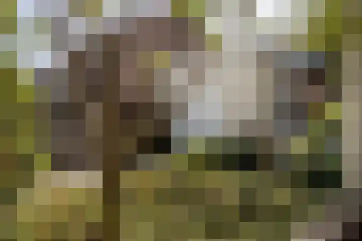 Wevestraat 17 Geleen thumbnail 47
