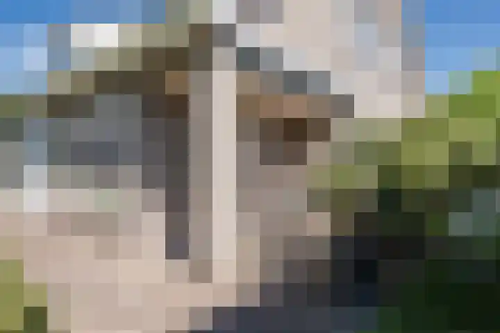 Wezel 57 Veldhoven thumbnail 37