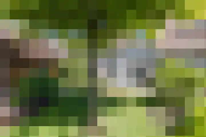 Wezel 57 Veldhoven thumbnail 45