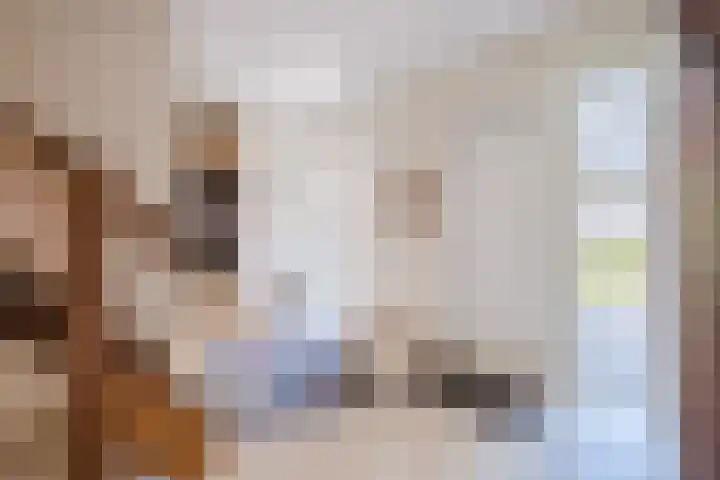 Wezel 57 Veldhoven thumbnail 8