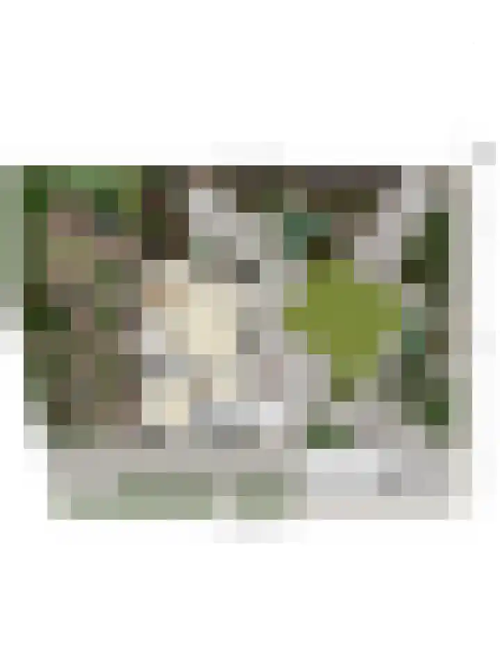 Wezel 59 Veldhoven thumbnail 44