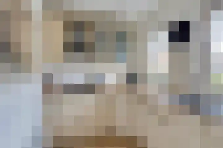 Wezelhof 18 Silvolde thumbnail 16