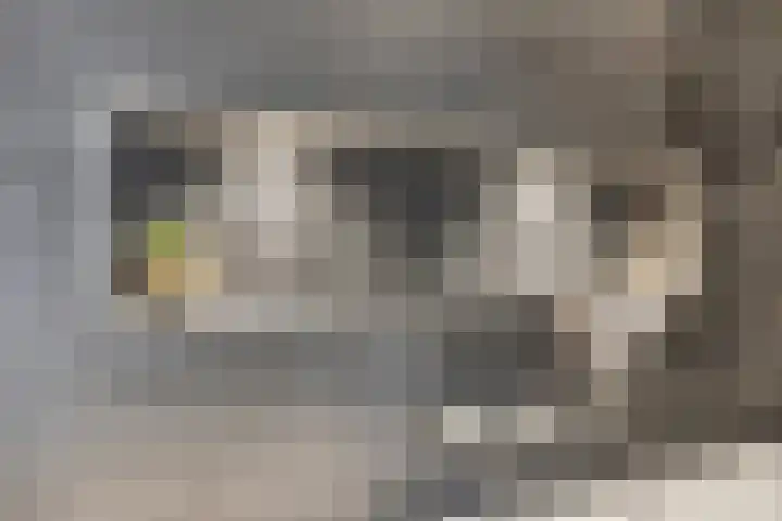 Wezelhof 18 Silvolde thumbnail 25