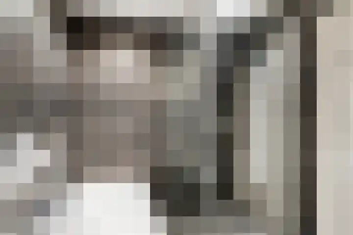 Wezelhof 18 Silvolde thumbnail 26