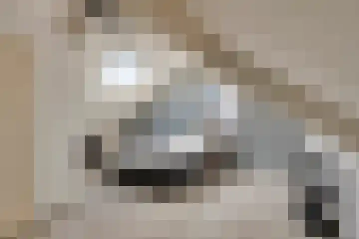 Wezelhof 18 Silvolde thumbnail 28
