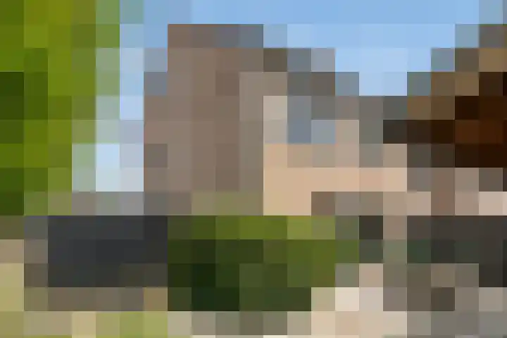 Wezelhof 18 Silvolde thumbnail 30