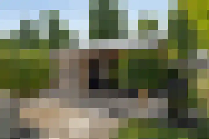 Wezelhof 18 Silvolde thumbnail 31