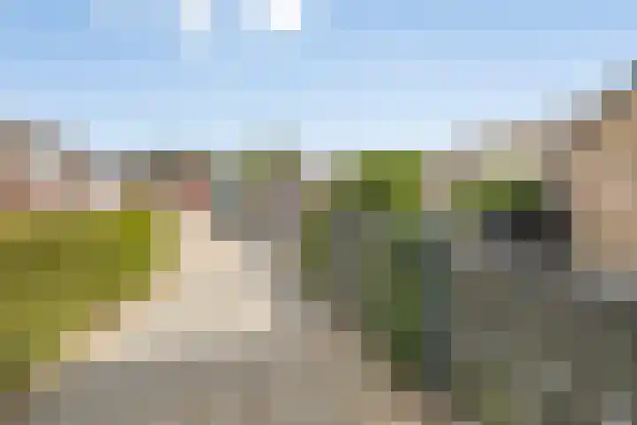 Wezelhof 18 Silvolde thumbnail 35