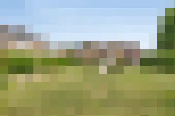 Wezelhof 18 Silvolde thumbnail 36
