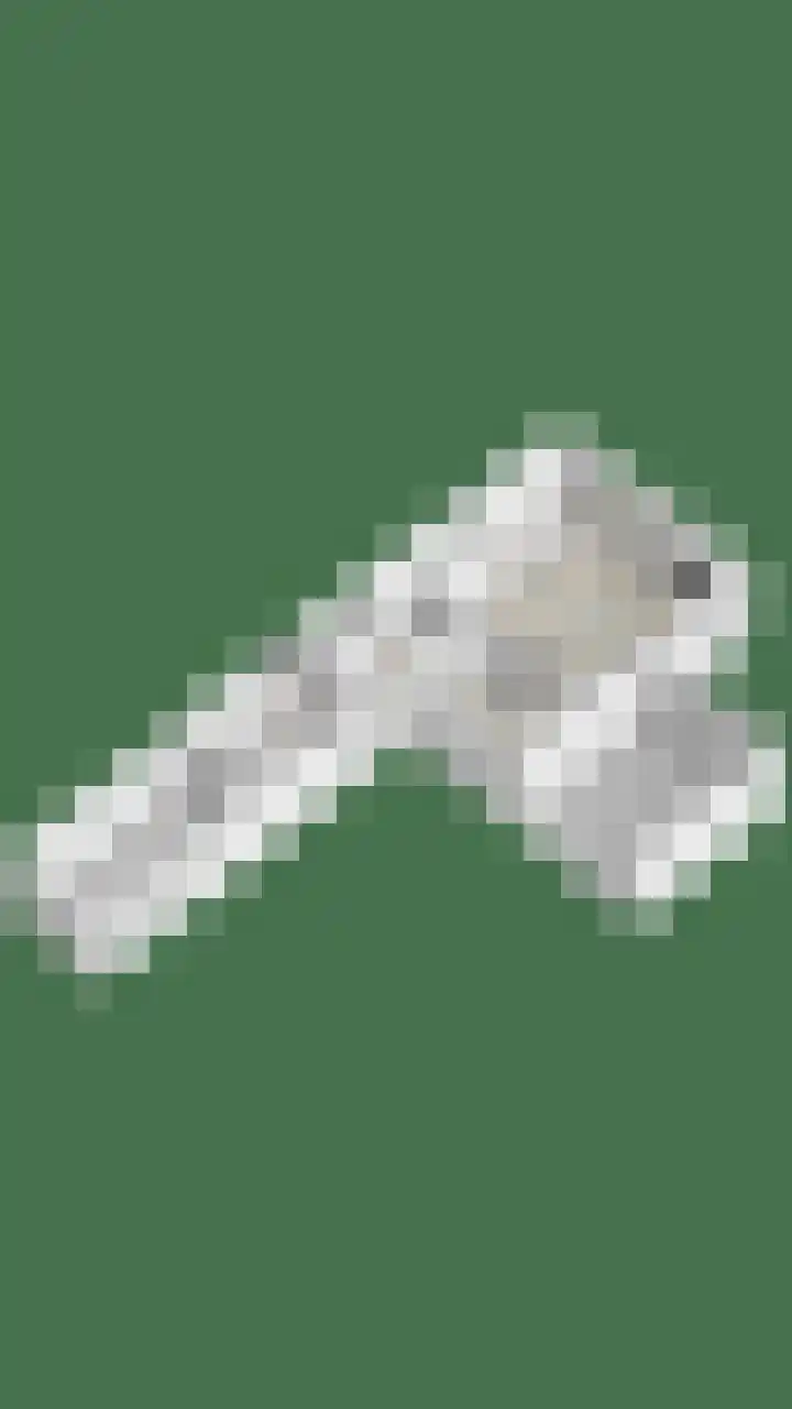 Wezelhof 18 Silvolde thumbnail 42