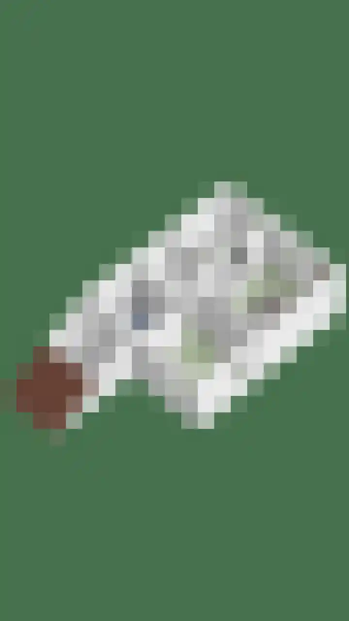 Wezelhof 18 Silvolde thumbnail 43