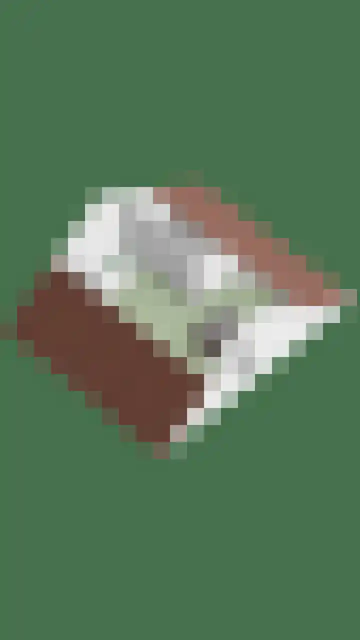 Wezelhof 18 Silvolde thumbnail 44