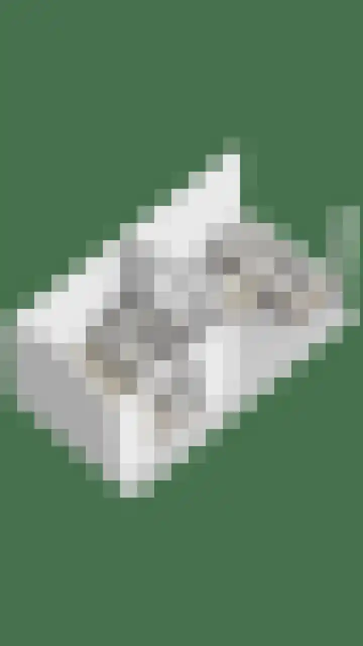 Wezelhof 18 Silvolde thumbnail 45