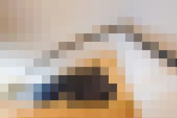Wezelhof 44 Silvolde thumbnail 19