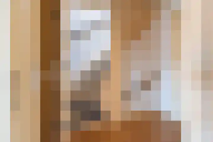 Wezelhof 44 Silvolde thumbnail 21