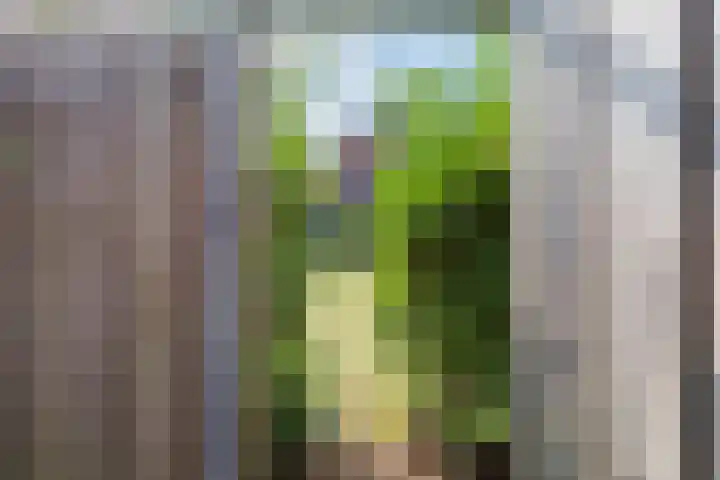 Wezelhof 44 Silvolde thumbnail 36