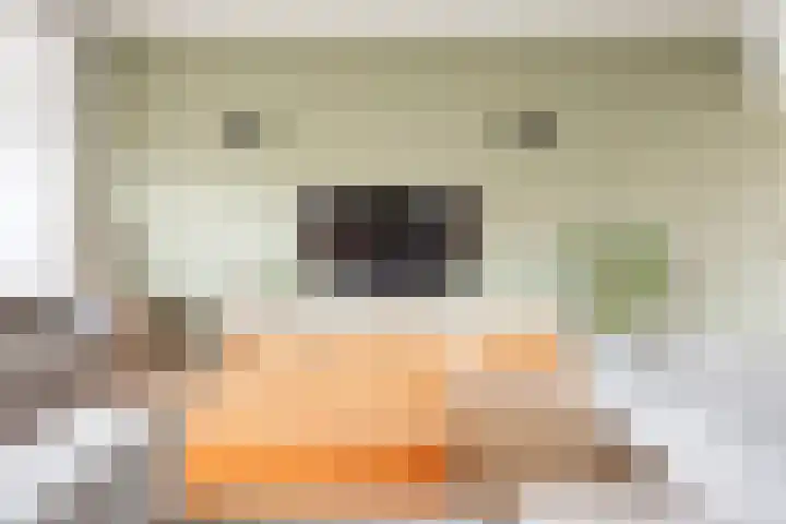 Wezelhof 82 Silvolde thumbnail 11