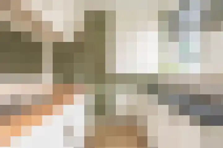 Wezelhof 82 Silvolde thumbnail 15