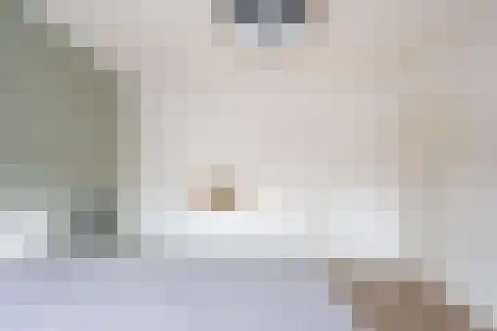 Wezelhof 82 Silvolde thumbnail 21