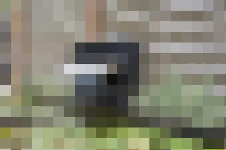 Wezelhof 82 Silvolde thumbnail 38