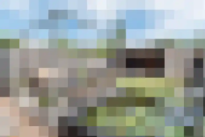 Wezelhof 82 Silvolde thumbnail 39