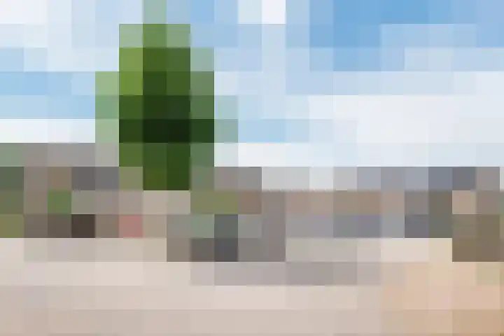 Wezelhof 82 Silvolde thumbnail 45