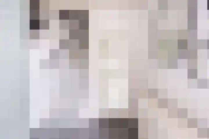 Wezelhof 82 Silvolde thumbnail 7