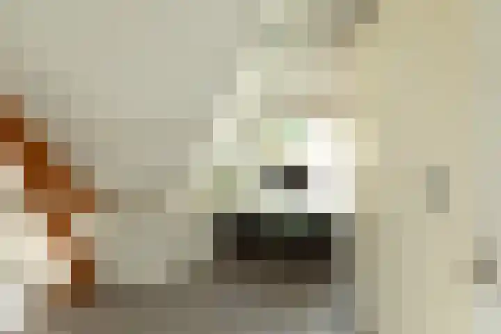 Wezellaan 12 Hilversum thumbnail 20