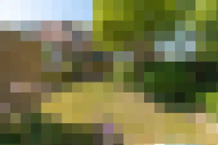Wezellaan 12 Hilversum thumbnail 29