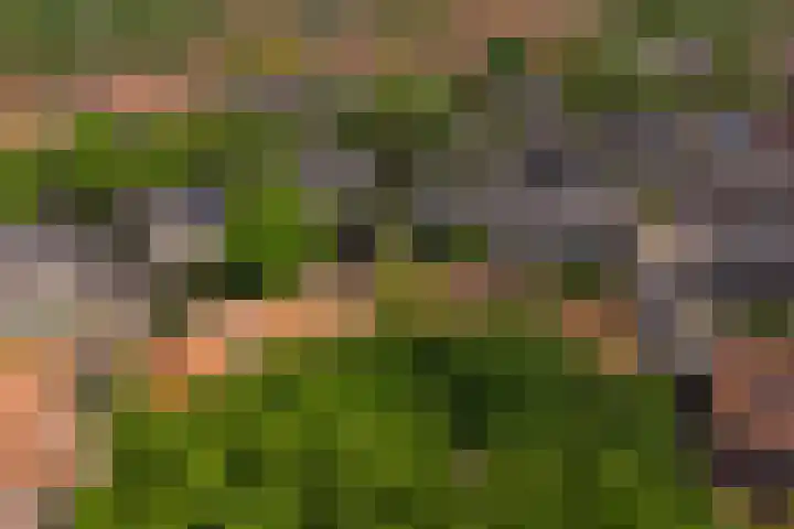 Wezellaan 12 Hilversum thumbnail 34