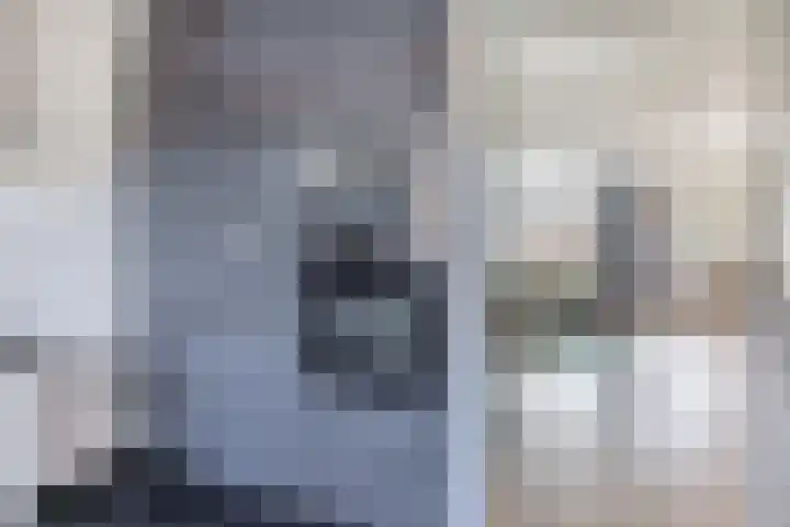 Wezelweide 1 Zoetermeer thumbnail 12