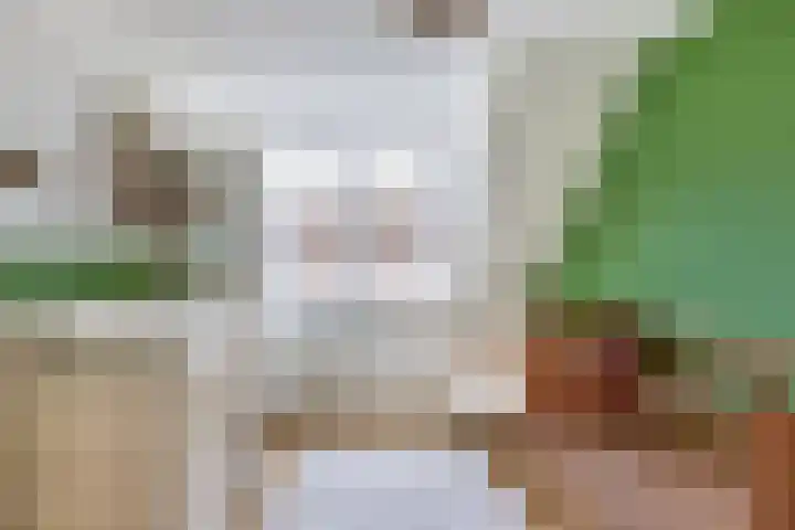 Wezelweide 1 Zoetermeer thumbnail 29