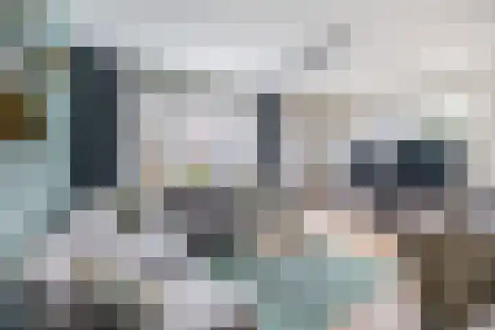 Wezelweide 1 Zoetermeer thumbnail 9
