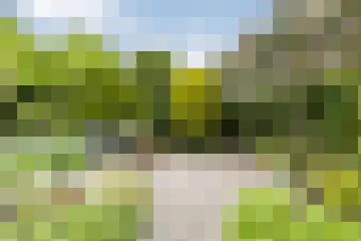 Wezenland 148 Wormer thumbnail 11