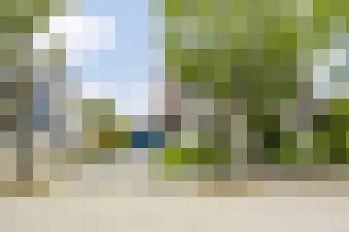 Wezenland 148 Wormer thumbnail 28