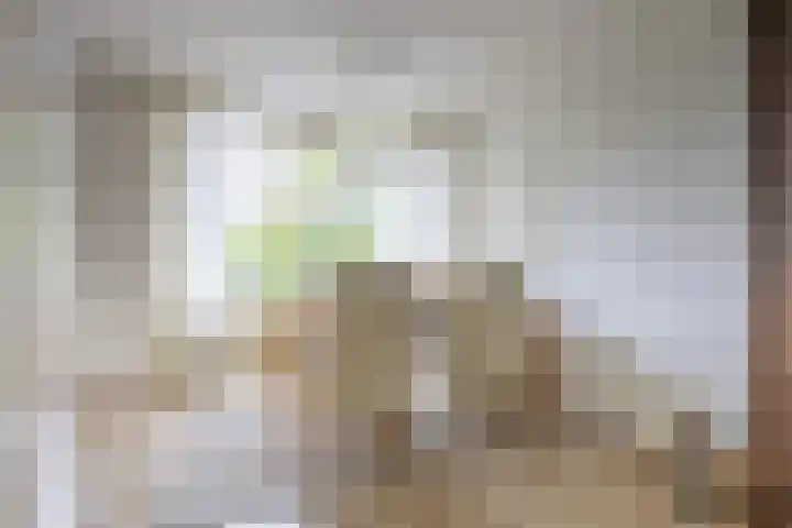 Wezenland 148 Wormer thumbnail 8