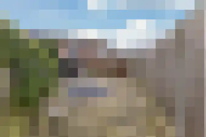 Wezenland 193 Wormer thumbnail 10