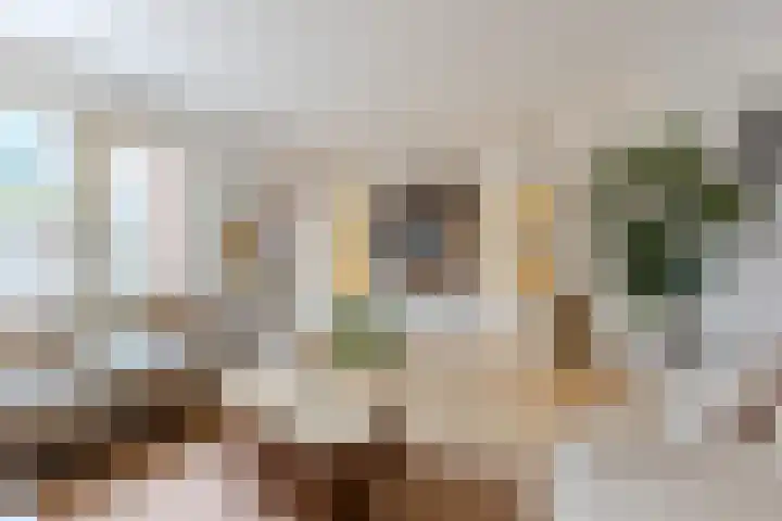 Wezenland 193 Wormer foto 3