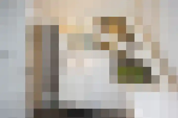 Wheemerstraat 11 Neede thumbnail 29