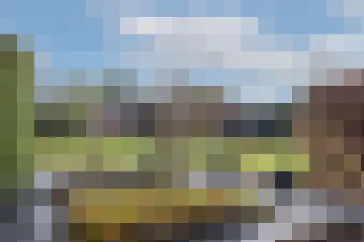 Wheemerstraat 11 Neede thumbnail 35