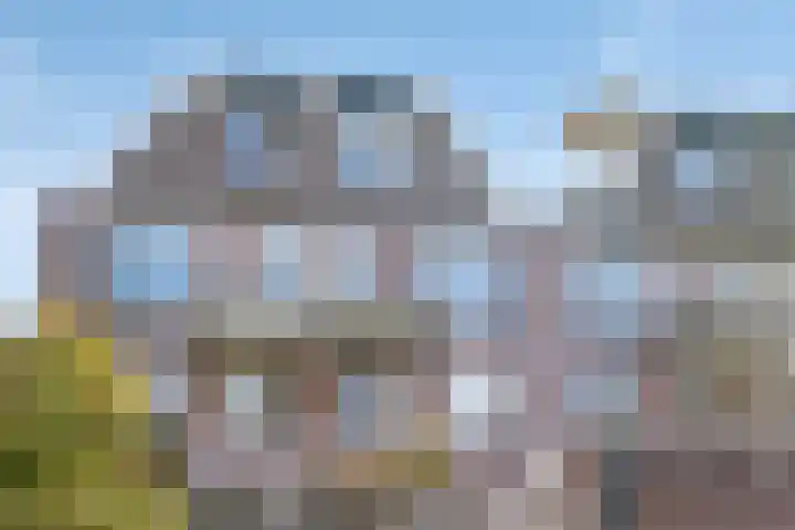 Wheme 50 Winterswijk thumbnail 30