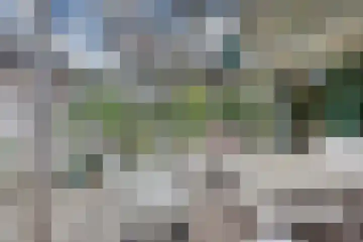 Wheredijk 52 Purmerend thumbnail 38