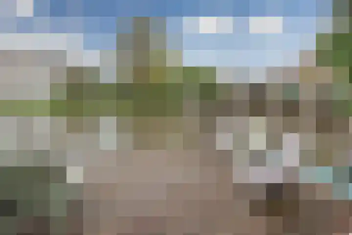 Wheredijk 52 Purmerend thumbnail 39