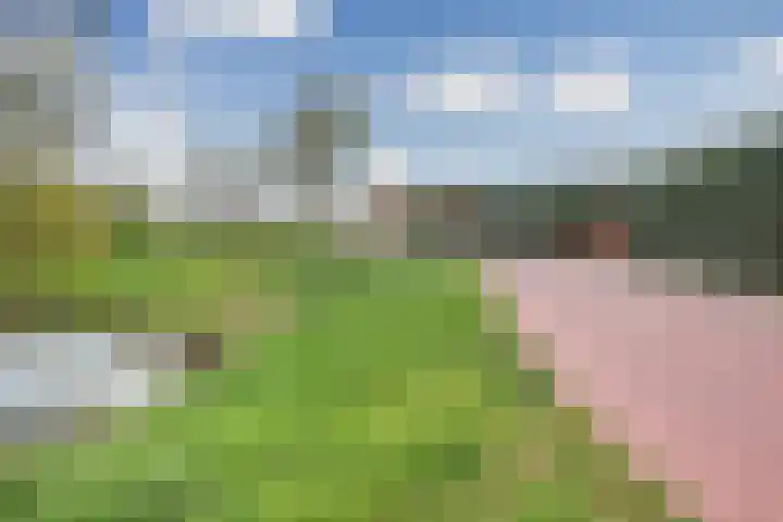 Wheredijk 52 Purmerend thumbnail 52